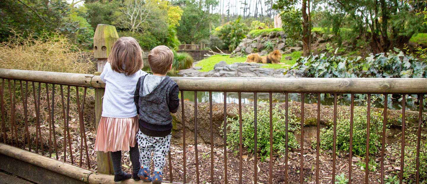 @Auckland Zoo