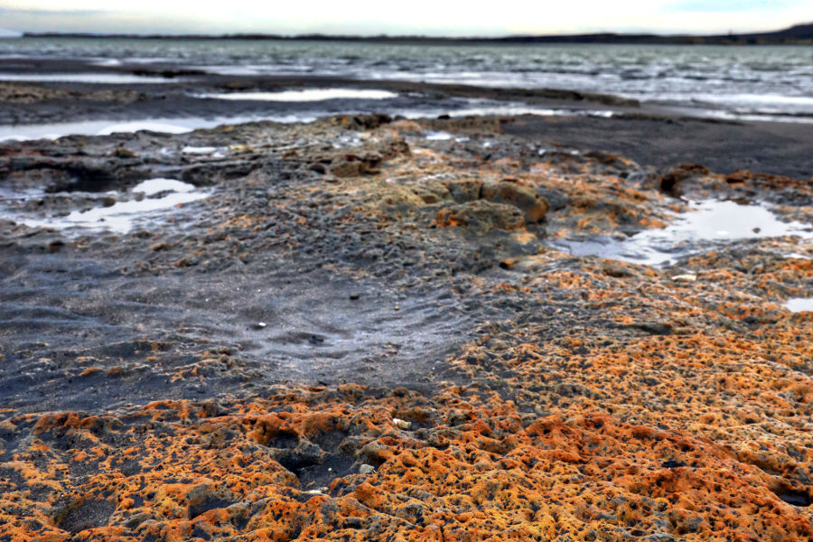 Aotea Beach orange hue reef rock exposed at low tide, New Zealand