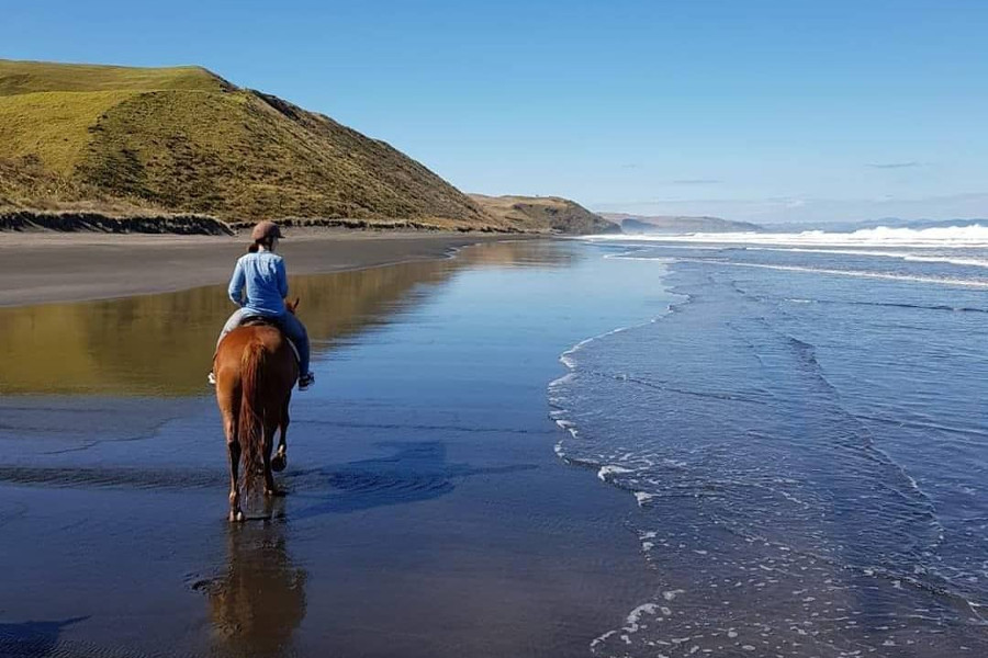 Beach horse riding, Raglan, New Zealand @_lisa_stitch