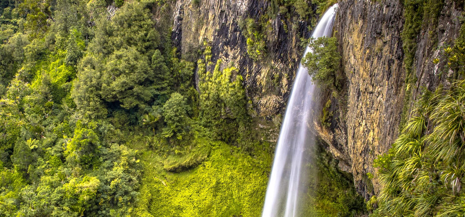 High Jungle Waterfall in Lush Rain Forest near Raglan, Bridal Veil Falls, New Zealand