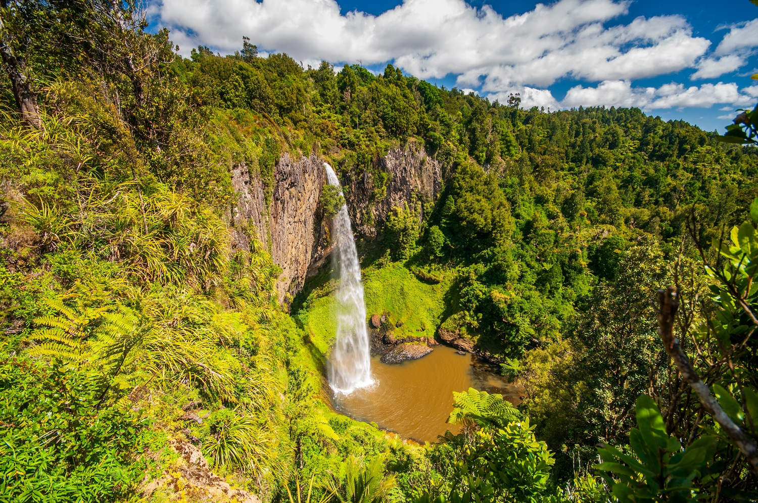 Bridal Veil Waterfall in Waikato New Zealand