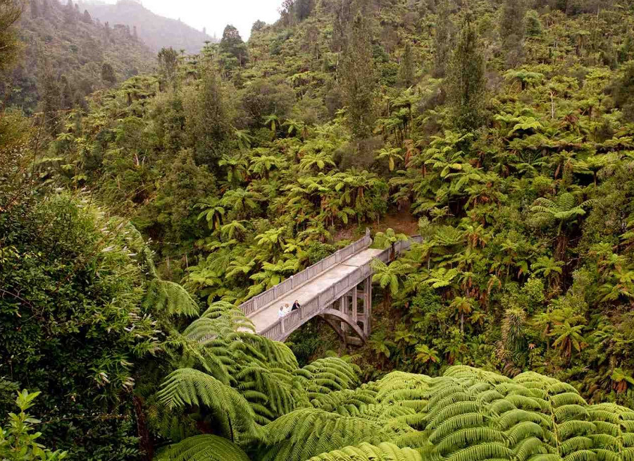 Bridge to Nowhere Walk, Whanganui, Wellington, New Zealand @Nigel Pearson