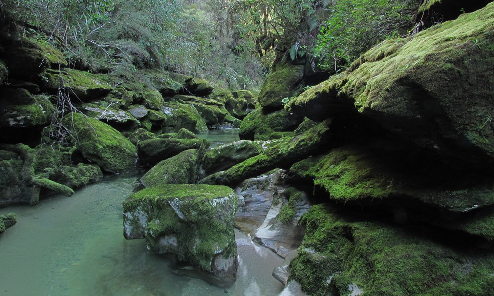 Cave Creek – Paparoa National Park, New Zealand @Steve Reekie