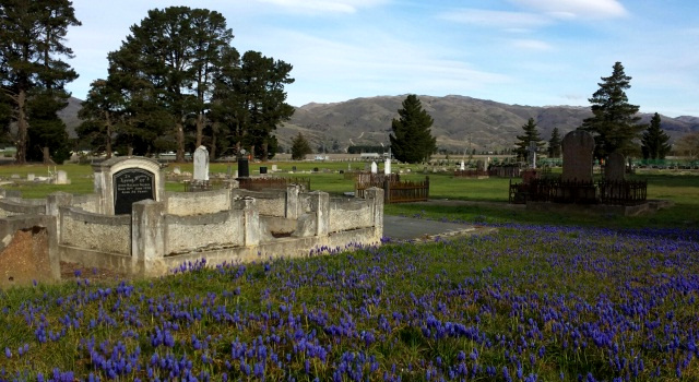 Cromwell Cemetery, New Zealand @cods.govt.nz
