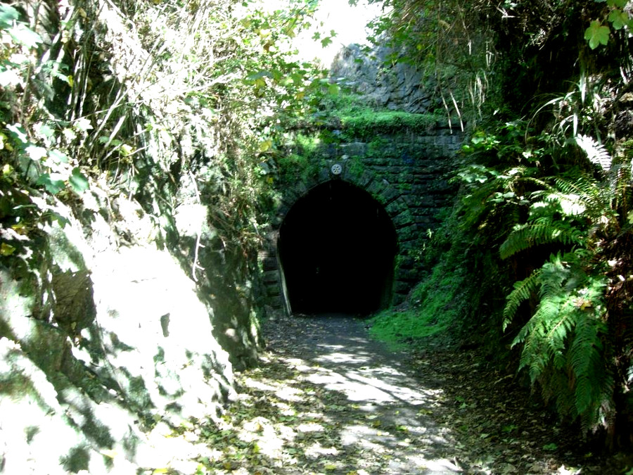 Glenore Mount Stuart Tunnel, New Zealand @Milton District