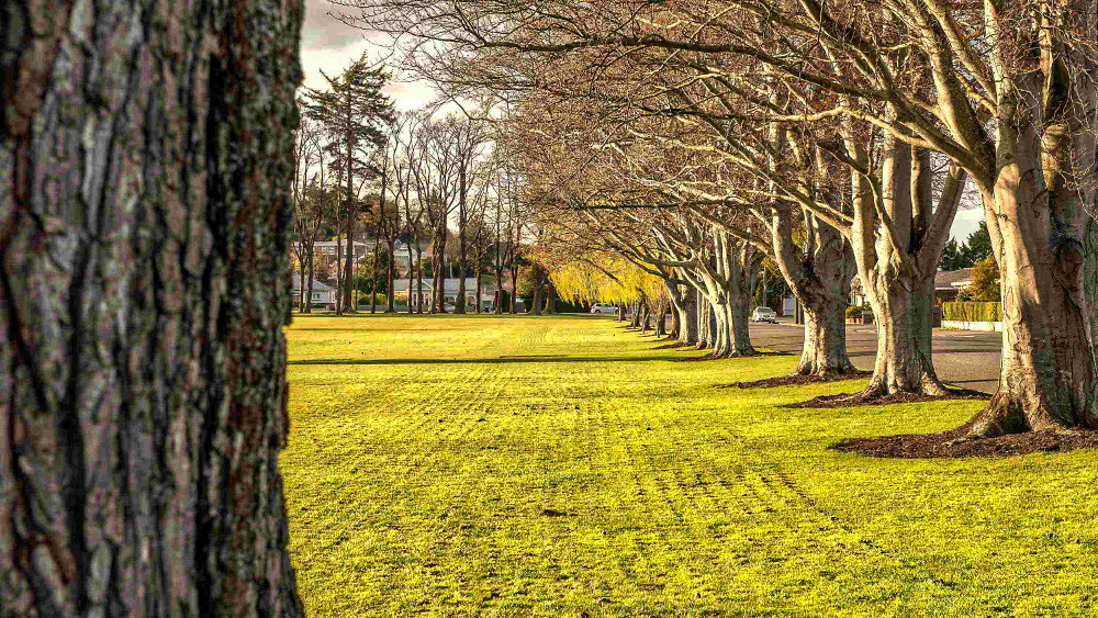 Gore public spaces, extensive lawns, New Zealand