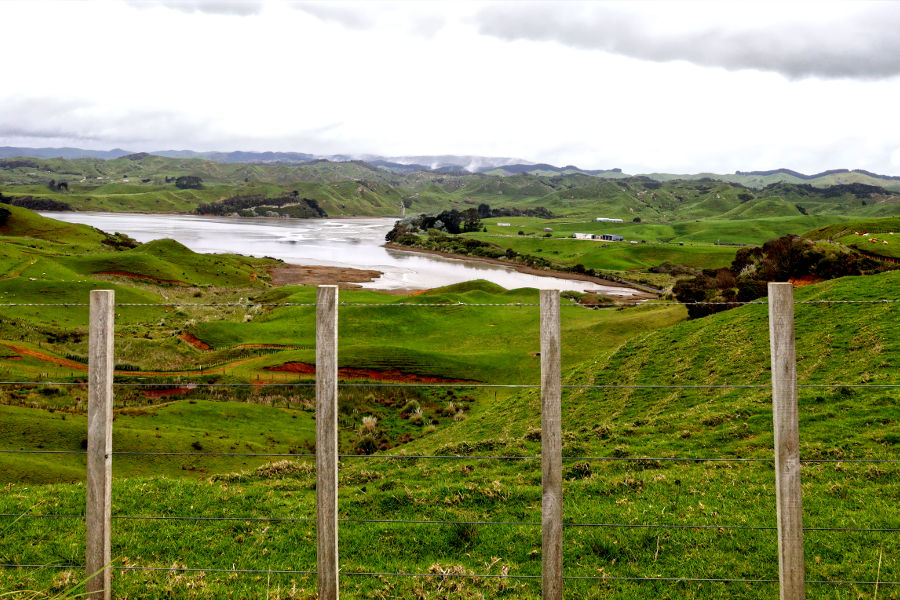 Gravel road views of farmland and sea inlets (estuary), Raglan, New Zealand