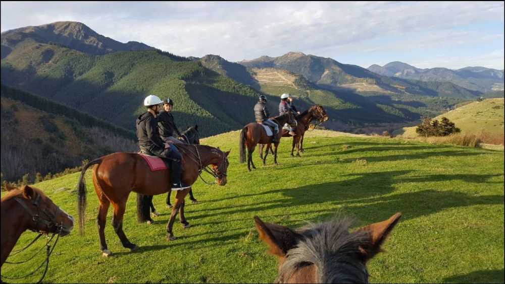 Hanmer Springs Horse Riders, New Zealand @Karen Brown