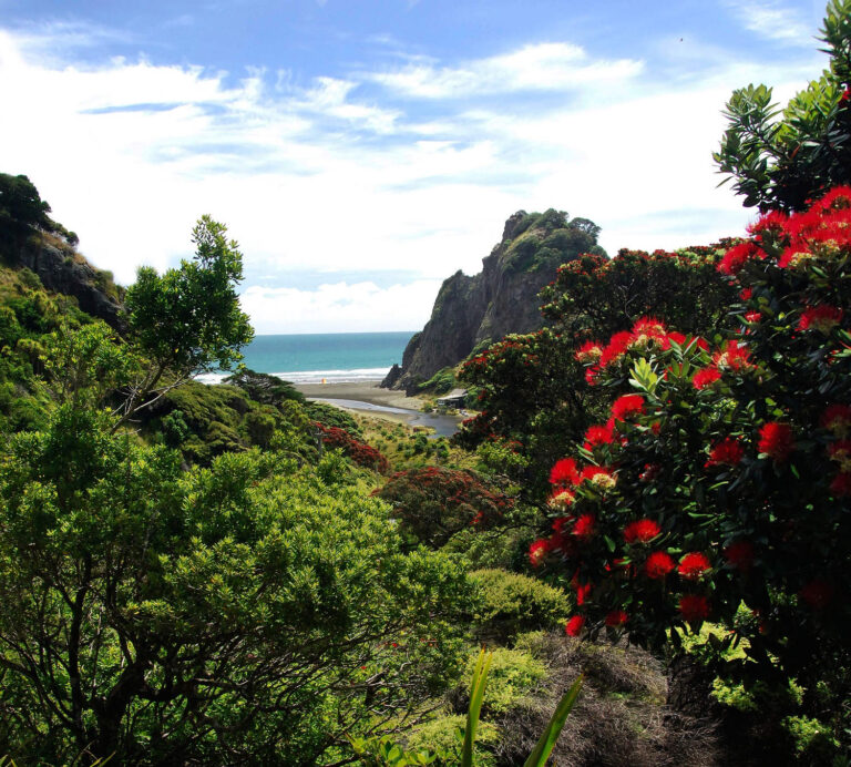 Karekare cliffs near Piha, West Auckland, New Zealand