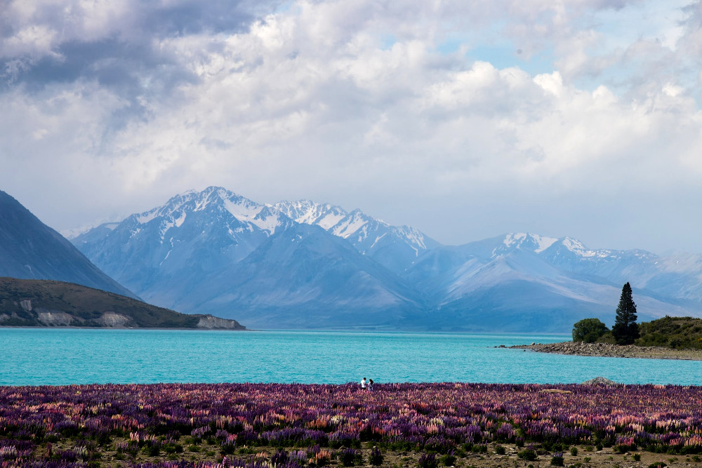 Lake Tekapo, New Zealand @dmaginley