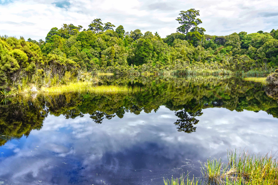 Lake Wilkie in Catlins reflections