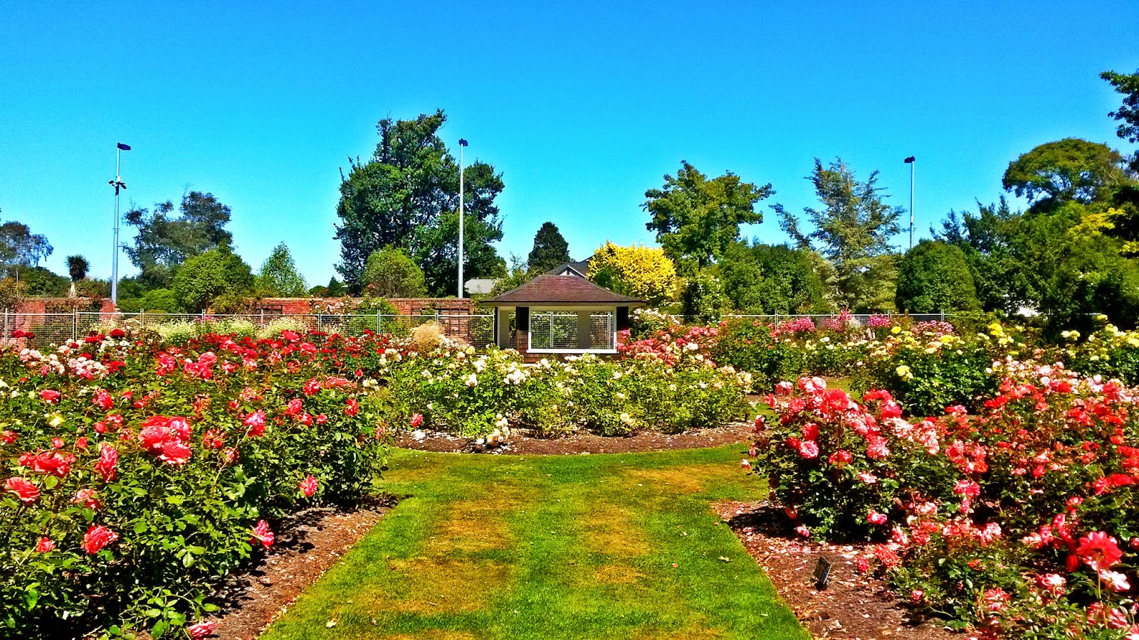 Mona Vale Gardens, New Zealand @Festistmirmhycz