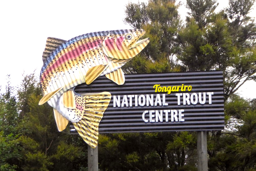 National Trout Centre, New Zealand @Allgoodthyngs