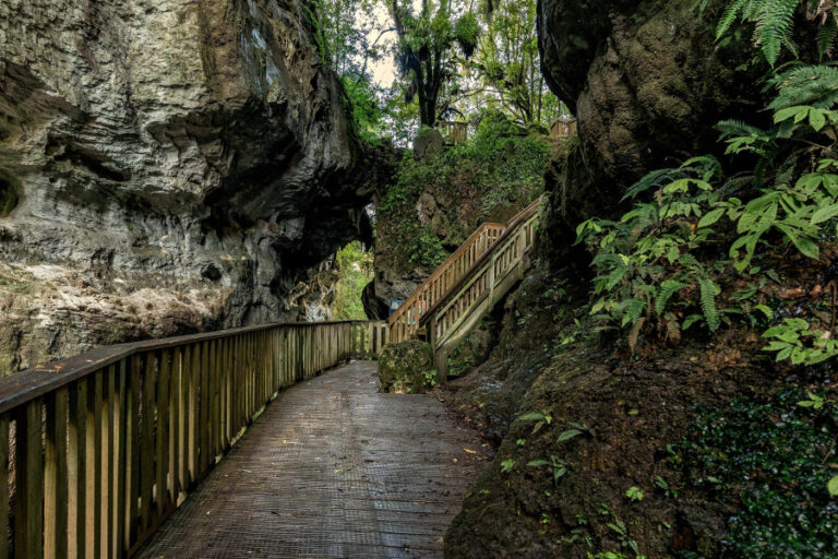 Natural bridge and caves on Mangapohue, Waikato, New Zealand