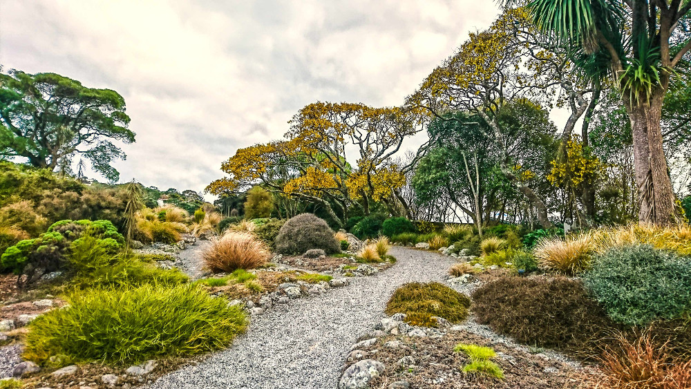 Otari-Wilton Bush alpine climate zone section, New Zealand