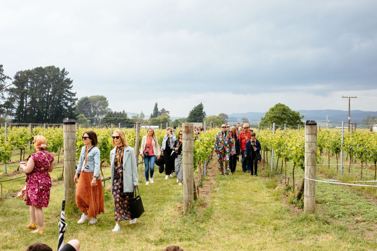Palliser Vineyard Walk, New Zealand @Winetourism