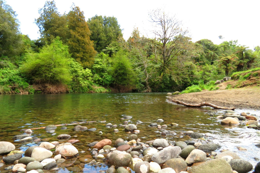Patea River, New Zealand @Tripadvisor