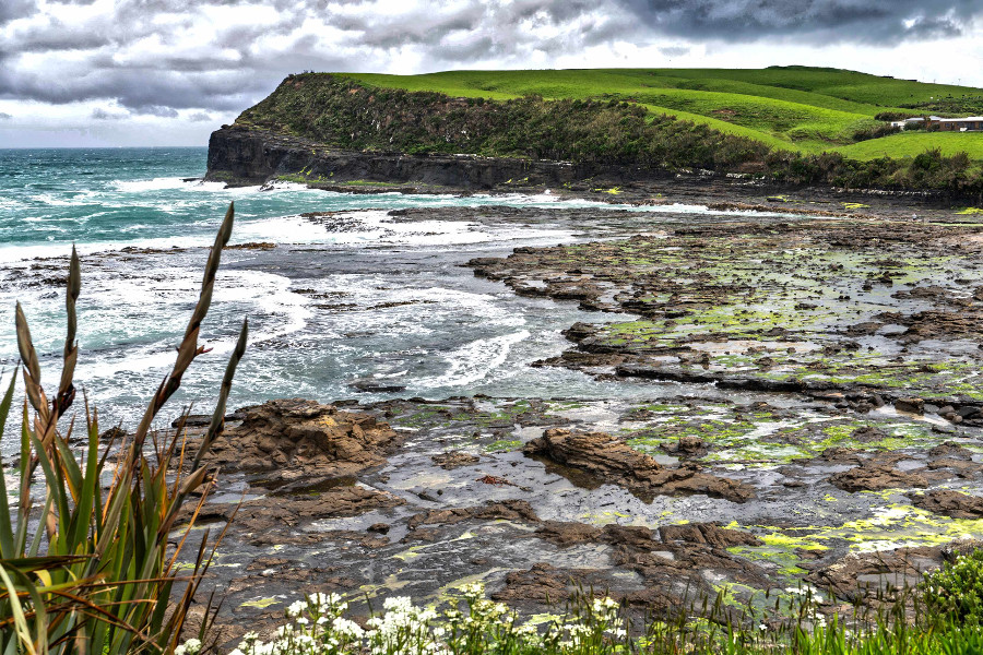 View of the Petrified Forest Beach at Curio Bay in the Catlins