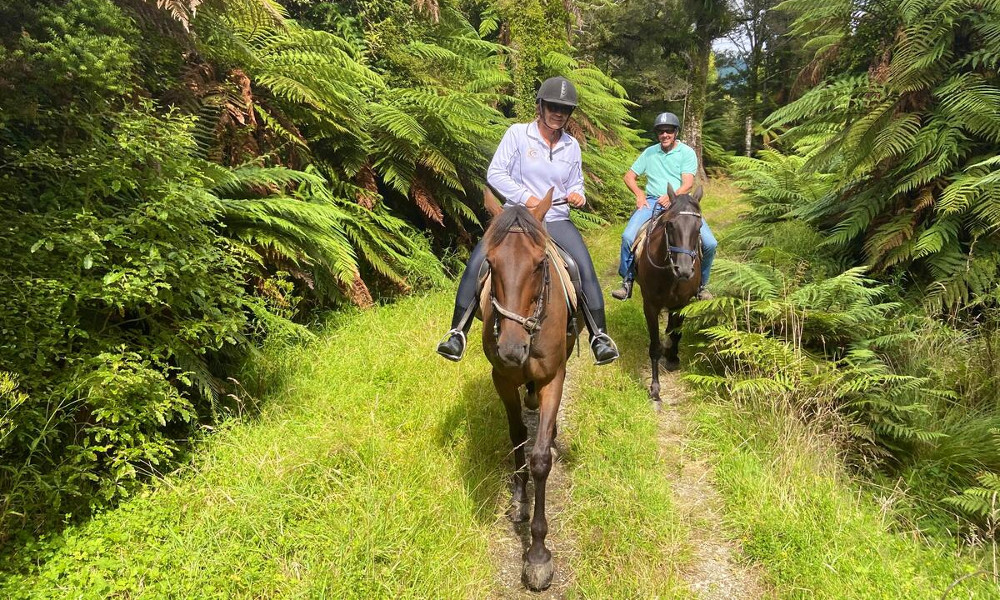 Punakaiki River horse trekking, New Zealand @booking