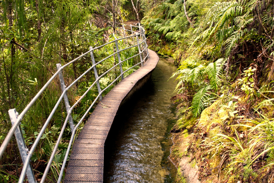Pupu hydro walkway canal, Takaka, New Zealand