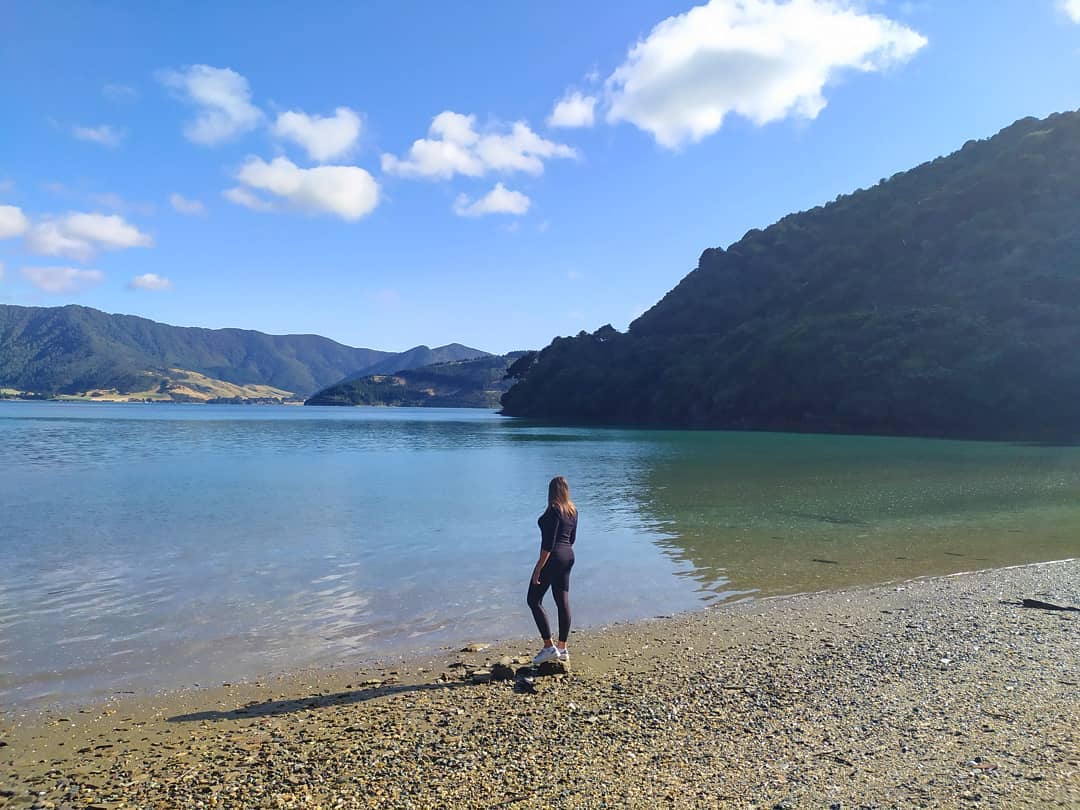Queen Charlotte Sound, New Zealand @noemie_diana