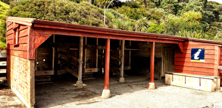 Scandrett Regional Park historic cow milking shed, New Zealand