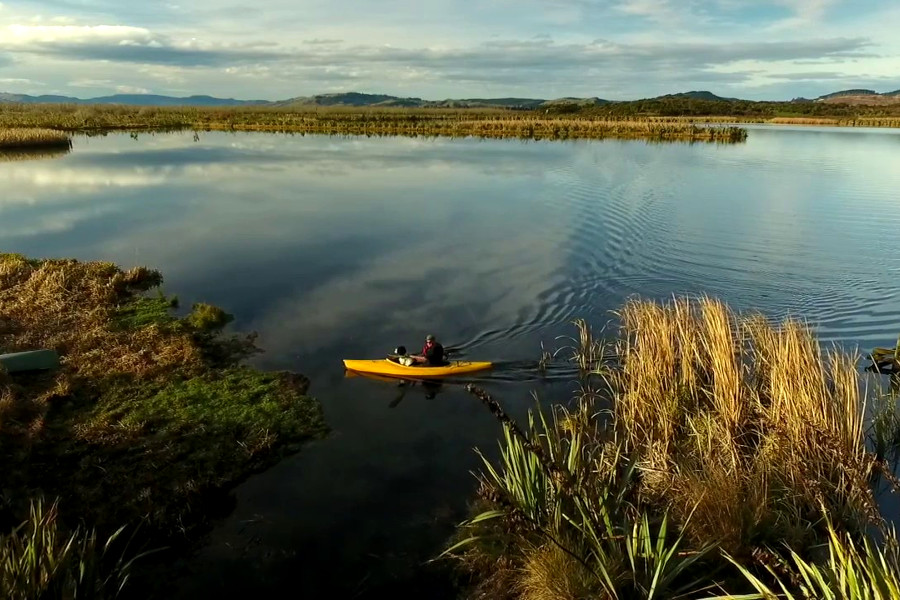 Sinclair wetlands, New Zealand @Jeff Aldridge
