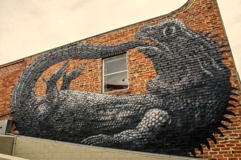 Street art painted by ROA from Belgium which is located in Dunedin, New Zealand