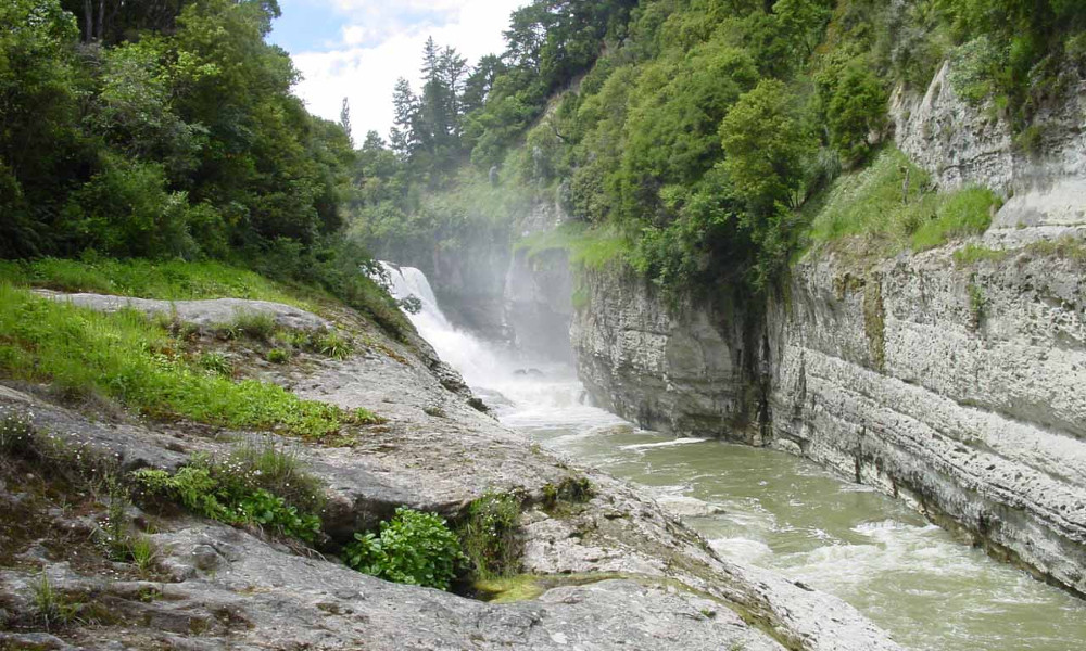 Te Reinga Falls, New Zealand @World of Waterfalls