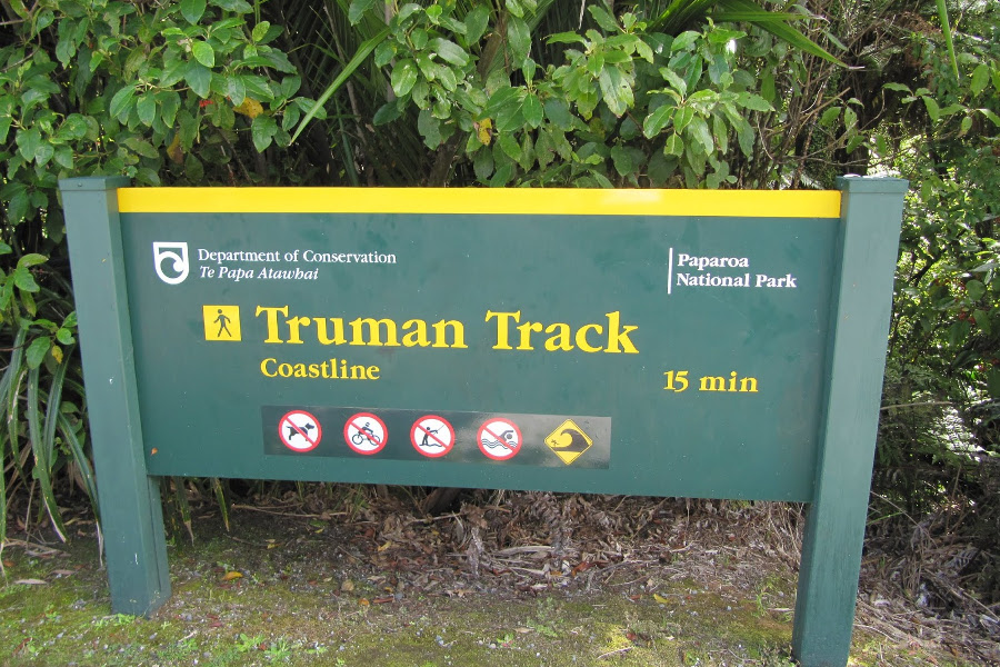 Truman Track, West Coast, New Zealand @Nick and Gills Gap Year