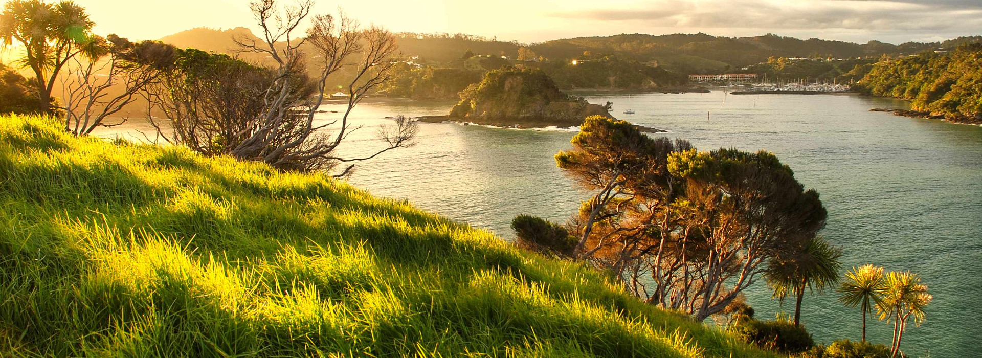 Tutukaka Coastal Views, Northland NZ, New Zealand