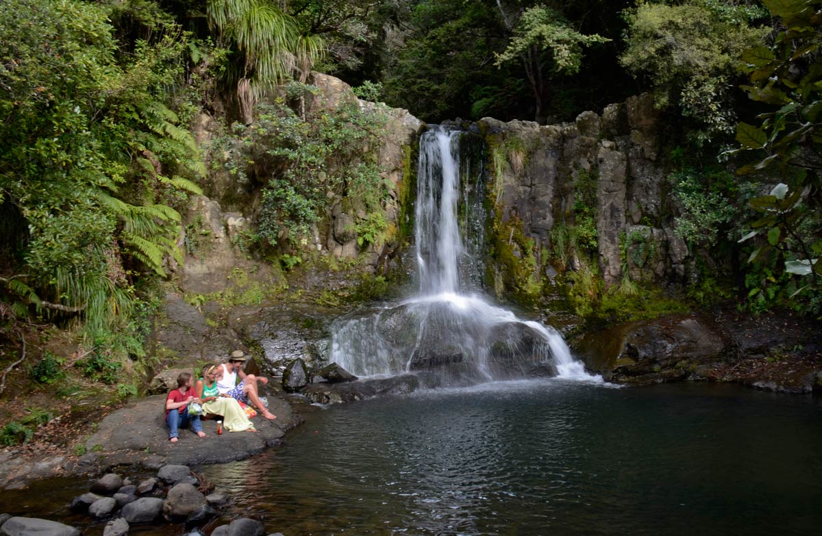 Waiau Falls and Kauri Grove Lookout Walk, Coromandel region, New Zealand @Shellie Evans
