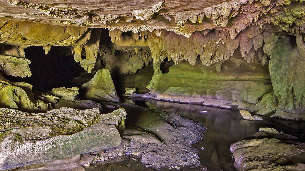 Waipu Caves @New Zealand experience