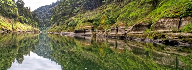 Reflections on the Whanganui River.