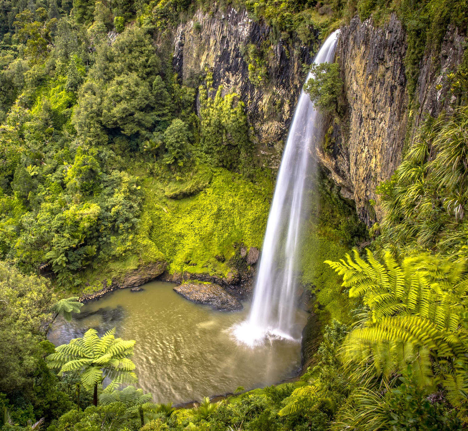 High Jungle Waterfall in Lush Rain Forest near Raglan, New Zealand
