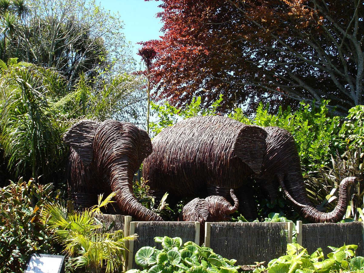 Brooklands Zoo, New Zealand @TripAdvisor