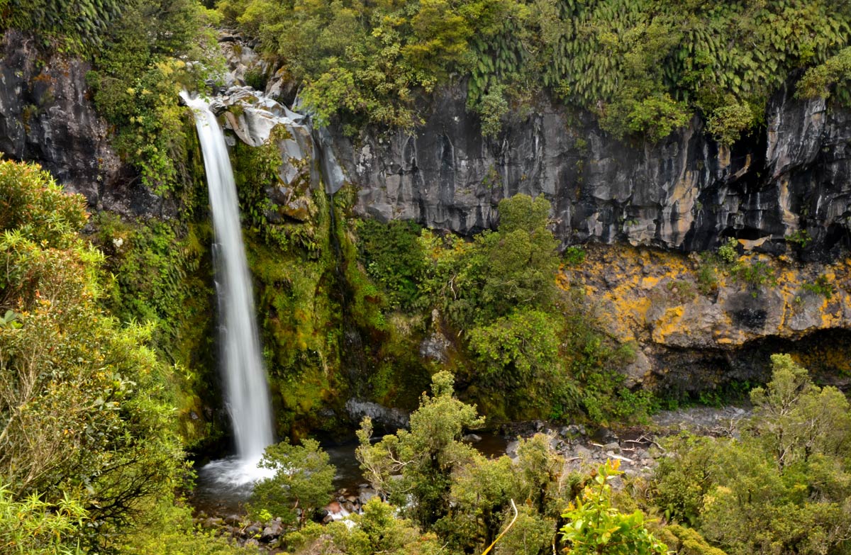 Dawson Falls, New Zealand @Department of Conservation