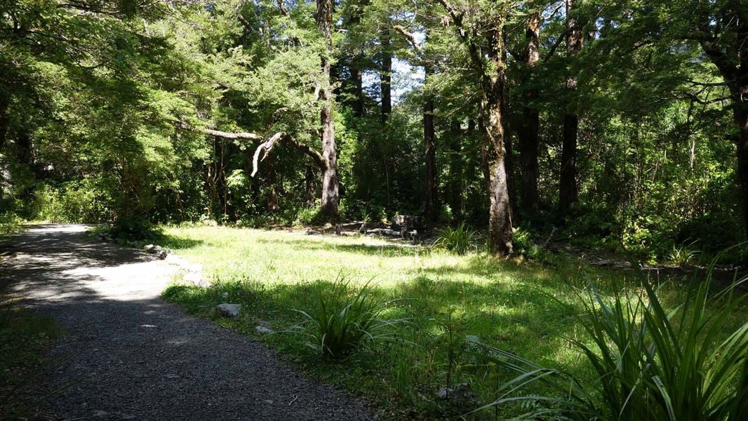 Donnelly Flat campsite and picnic area @DOC / Bev Bacon