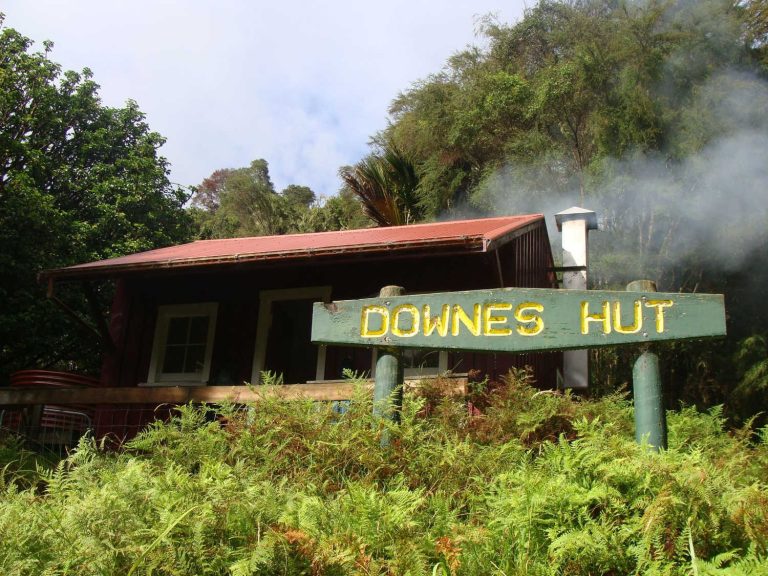 Downes Hut, New Zealand @Matt's Te Araroa