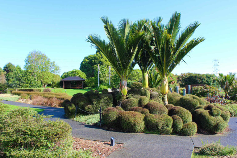 Auckland Botanic Gardens, located in Manurewa, NZ