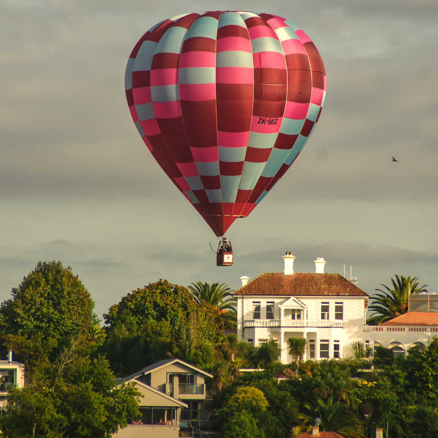 Hamilton hot air balloons, New Zealand