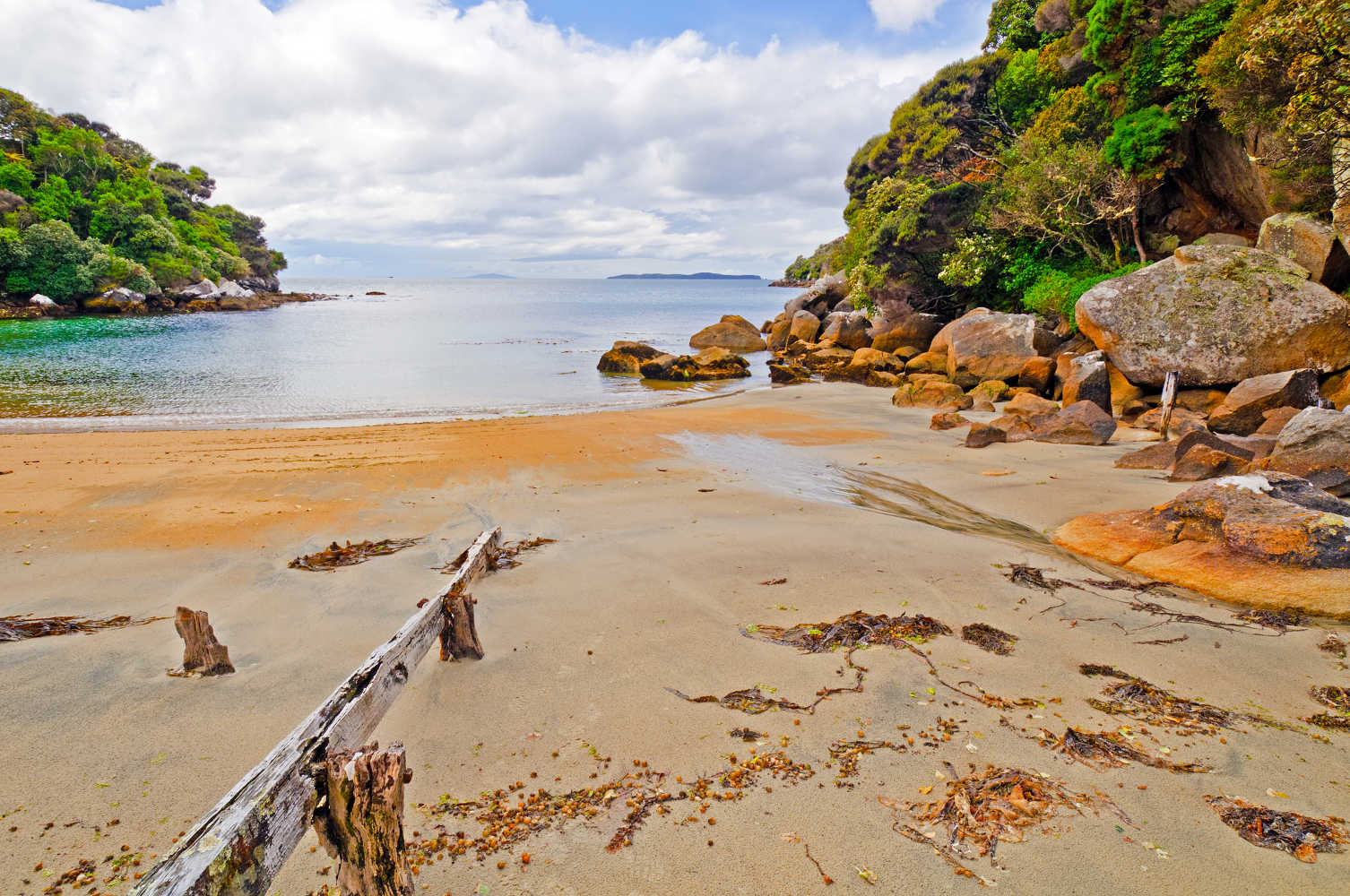 Harrold Bay on the Ackers point trail in New Zealand