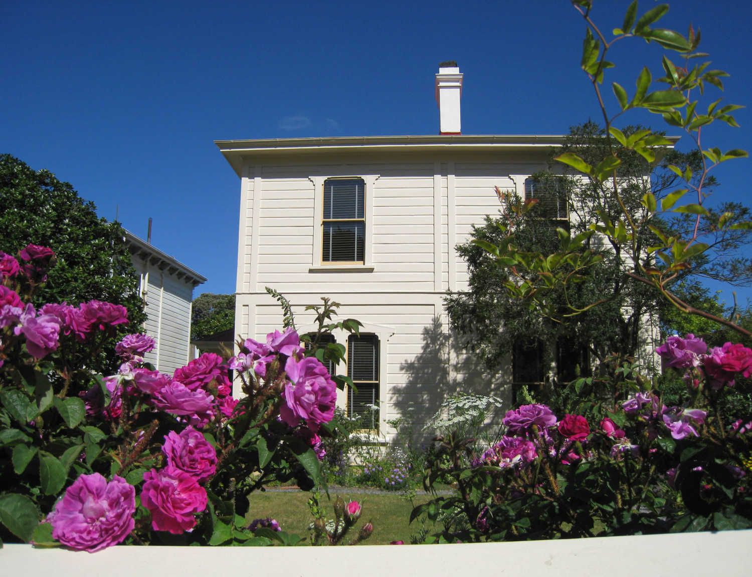 Katherine Mansfield birthplace, New Zealand @Lanma726