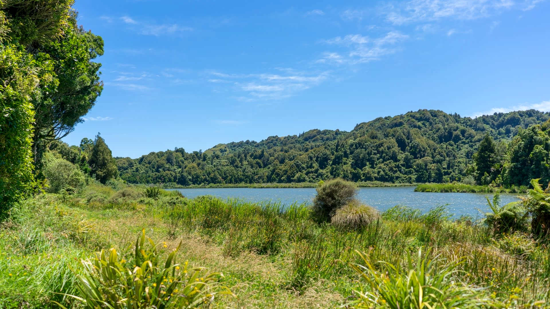 Lake Rotokare, Eltham, New Zealand @Seoulinspired