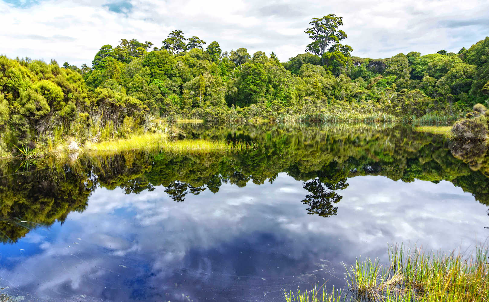 Surrounding bush and forest reflected idylically in calm water small Lake Wilkie in Catlins, Southland New Zealand.