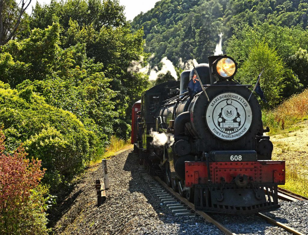 Marlborough Flyer Tourist Steam Train climbs a steep hill out of Picton, Marlborough, New Zealand
