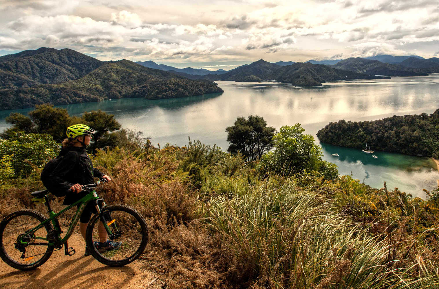 Cyclists on the Link Pathway, Marlborough Sounds, New Zealand