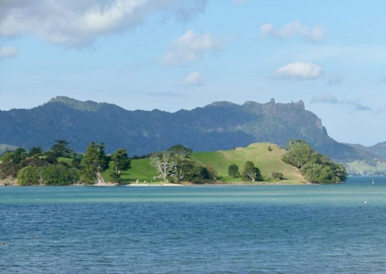 Motukiore island with mt Manaia, whangarei Heads in the background @millymouset