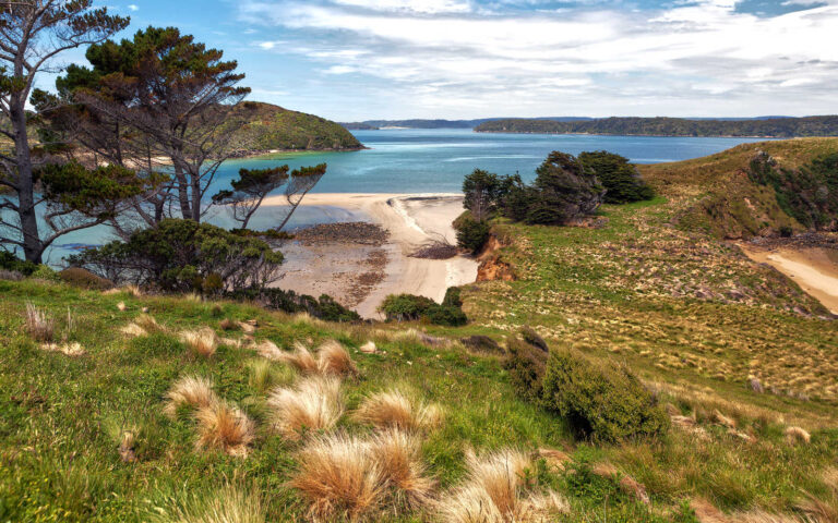 Native Island from Stewart, Wohlers lookout, New Zealand