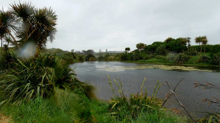 Nowell's Lakes Walkway, Hawera, New Zealand @This is South Taranaki